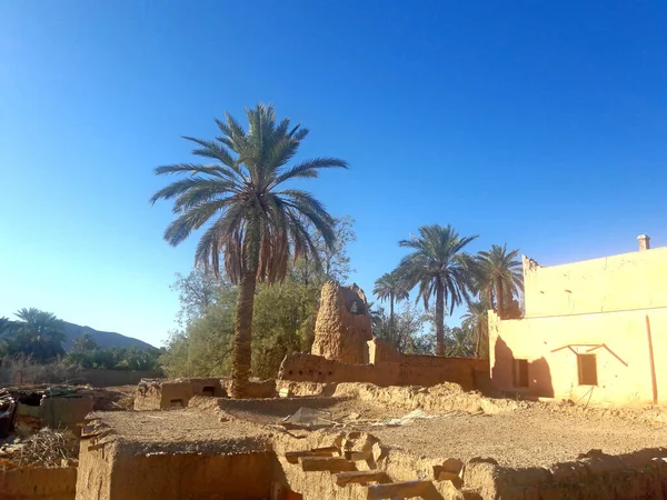 Une Vieille Tour Guet Dans Oasis Figuig Maroc — Photo