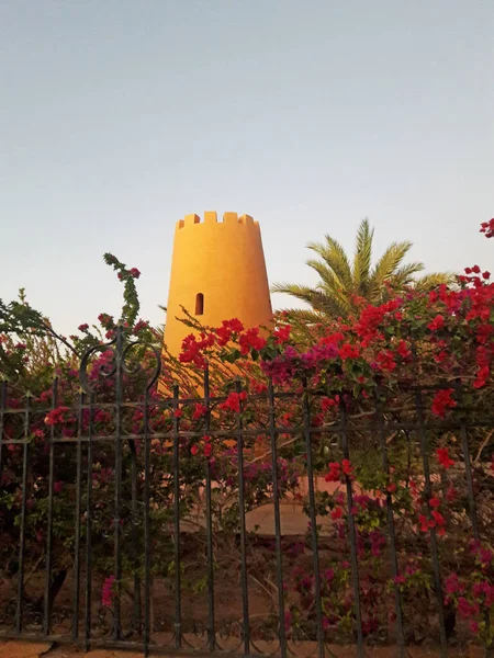 Une Vieille Tour Guet Dans Oasis Figuig Maroc — Photo