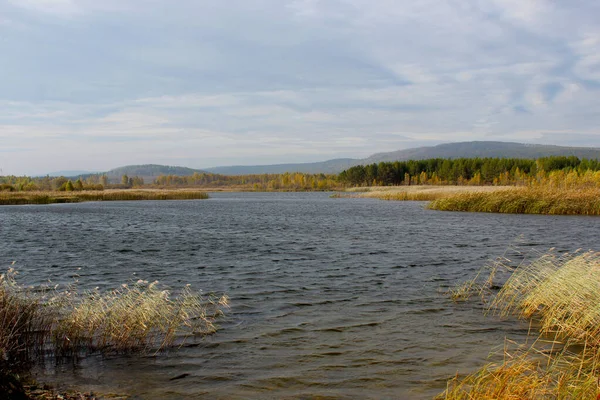 La rive pittoresque d'une rivière ou d'un lac recouvert de roseaux. Jour nuageux à l'automne. Ondulations du vent sur l'eau brillante. Dans les nuages du ciel bleu. L'atmosphère de détente, de vent, de solitude . — Photo