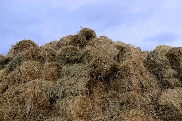 Straw bales and a cloudless bright sky. — Stock Photo, Image