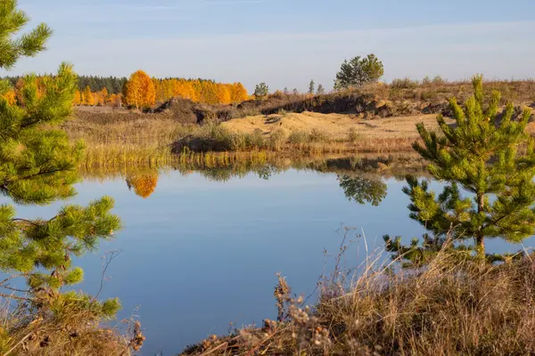 Automne automne chaud et ensoleillé dans la forêt sur fond de lac. pins verts et bouleaux jaunes brillants dans le reflet d'une rivière bleu clair avec un ciel sans nuages . — Photo