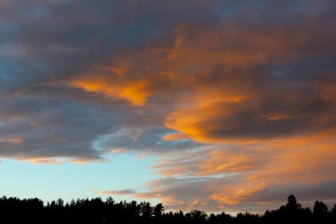 Ormanın üzerindeki sarı-mavi günbatımı bulutlarla kaplıdır. Güzel bir gün batımı olan bir yaz ormanının silueti. Sanatsal olarak bulanık