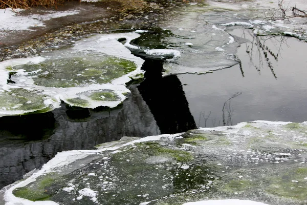 Ruisseau lumineux avec neige glacée. Bel hiver, fond abstrait glacé. Des morceaux de plantes et d'algues vertes avec des bulles d'air ont gelé dans une couche de glace fraîche sur la rivière. Cercles sur glace, réflexion — Photo