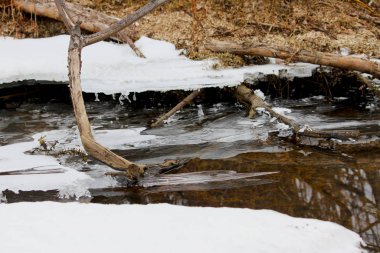 Donmuş bir nehrin kıyısındaki güzel kış manzarası, buzlu ve soyut bir zemin. Bitki parçaları ve hava kabarcıkları olan yeşil algler nehirde taze bir buz tabakasında dondular. Sudaki yansıma.