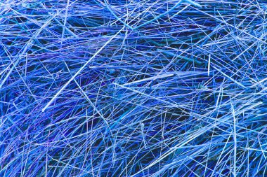 Koyu mavi kuru samanların soyut arkaplanı. Kuru saman dokusu kuru ottan yapılır. Mavi çimen arkaplanı.