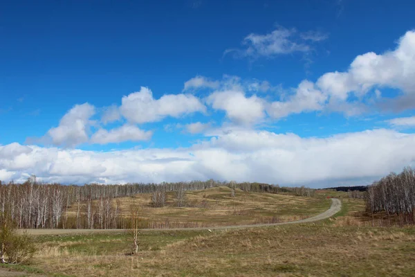 Une belle journée de printemps à la campagne. Le ciel bleu dans les nuages et la route qui va au loin. Au début du printemps. Des troncs blancs de bouleaux sont clairement visibles — Photo