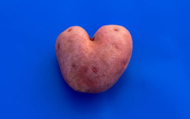 Mavi arka planda kalp şeklinde patates. Mavi üzerine kalp şeklinde kırmızı patatesler. Patatesler yakın çekim, izole etme, mesaj yeri, kopyalama alanı. Aşk, vejetaryenlik, çiğ gıda diyeti, uygun beslenme