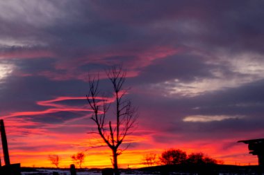 Köyün eteklerinde koyu bulutlu kırmızı-mavi gün batımı. Karanlık kış kırsal manzarası, bir ağacın silueti, güzel bir gündoğumunun arkaplanına karşı. Sanatsal olarak bulanık.
