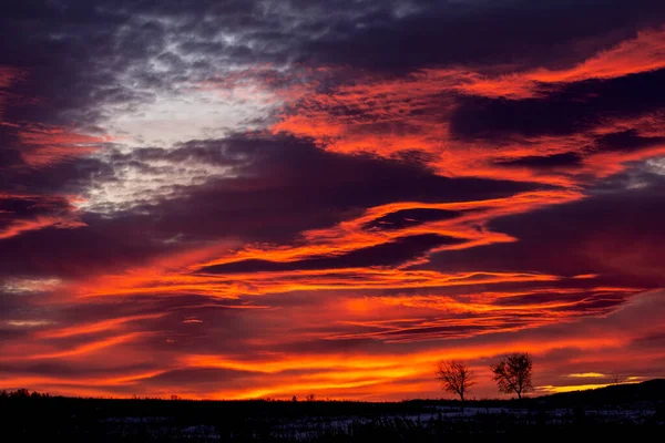 村の郊外に暗い雲と赤青、燃えるような夕日。美しい夕日を背景に木のシルエットと暗い冬の農村風景。芸術的にぼやけた. — ストック写真