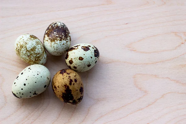Huevos de codorniz sobre fondo de madera. Cinco huevos manchados, aislados. Vista desde arriba. Lugar para texto, espacio de copia . — Foto de Stock