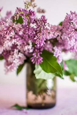 Açık arkaplanda cam bir fincanda bahar mor leylağı
