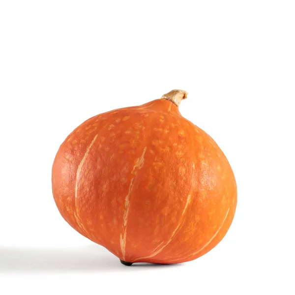 Calabaza naranja fresca aislada sobre fondo blanco — Foto de Stock