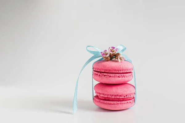 Two pink macaroons tied with a ribbon on a white background. Spring concept. present