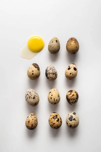 Plusieurs œufs de caille reposent sur un fond clair. Œuf cassé. Modèle. Fond de Pâques — Photo