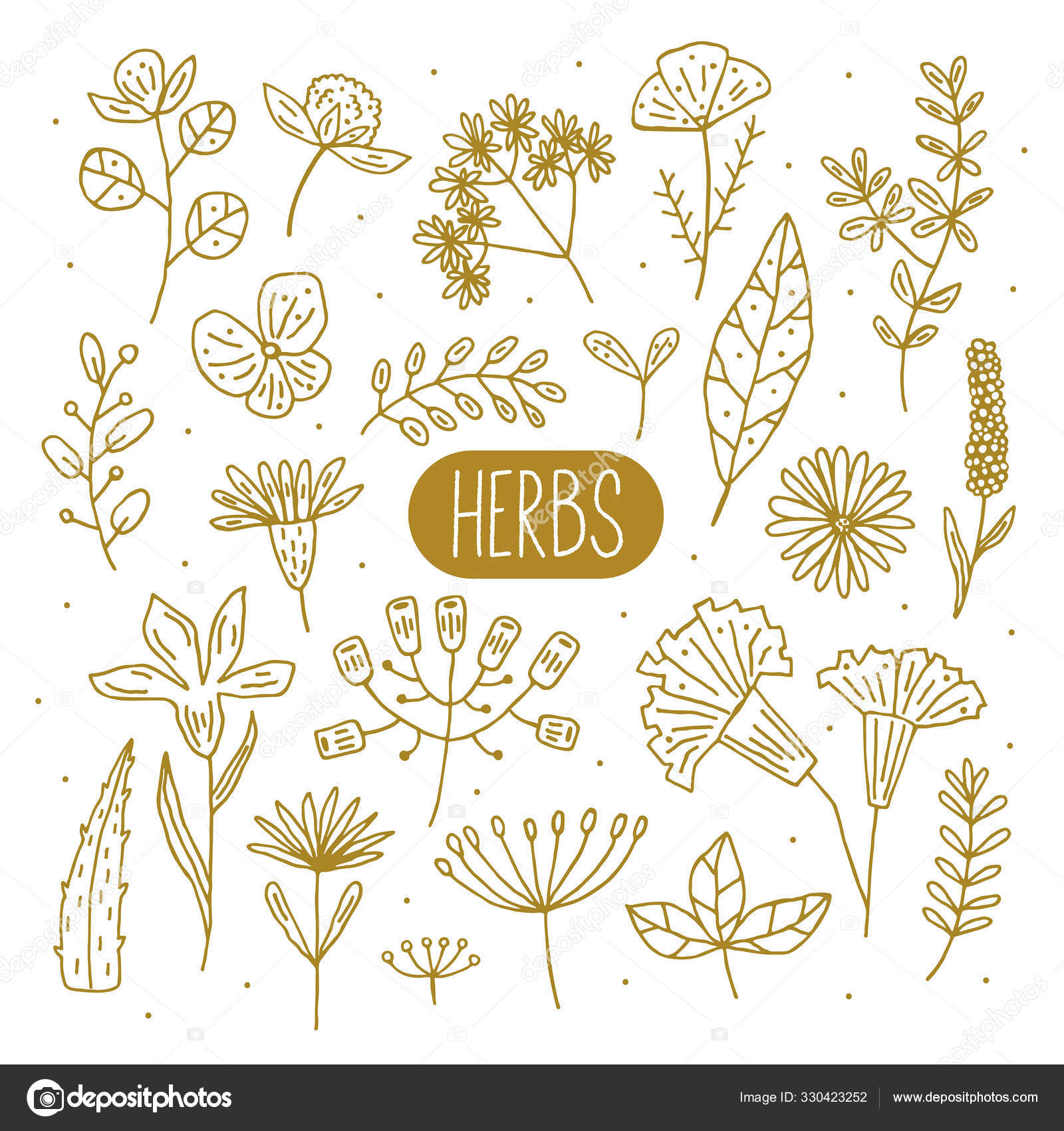 Pflanzen, Vektor-Doodle-Illustrationen, Cliparts, Elemente