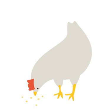 Bir şeyler yemek tavuk