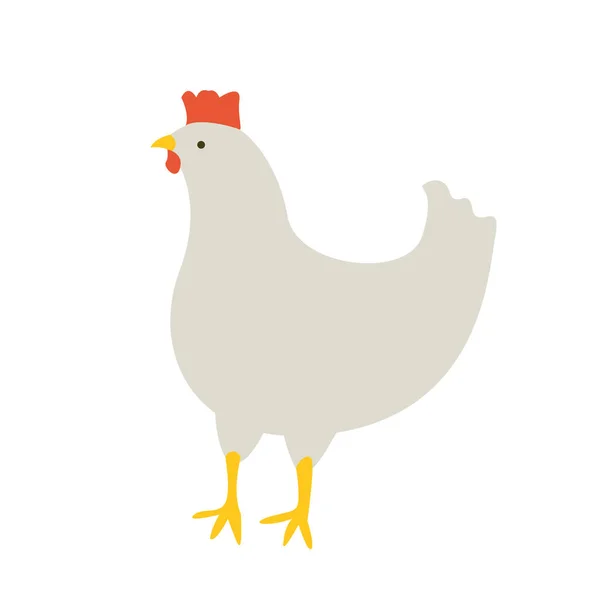 The chicken looks — Stock Vector