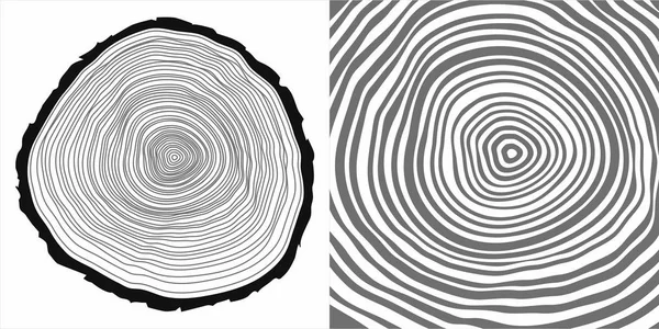 Tree rings background — Stock Vector