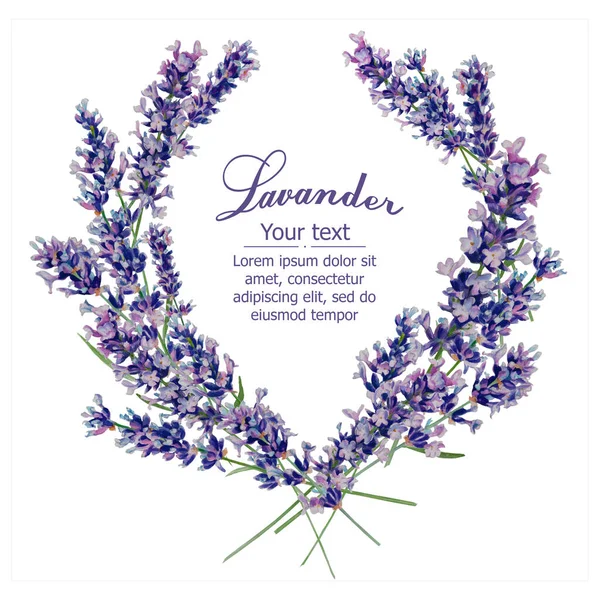 Watercolor Lavender Bouquet Signature Box — Stock Photo, Image