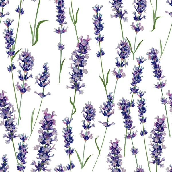 Lavendel Aquarel Naadloos Patroon Sierlijke Delicate Twijgen Een Witte Achtergrond — Stockfoto