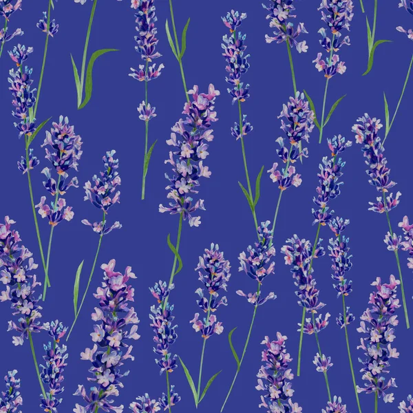 Lavendel Aquarel Naadloos Patroon Aquarel Sierlijke Delicate Twijgen Een Paarse — Stockfoto