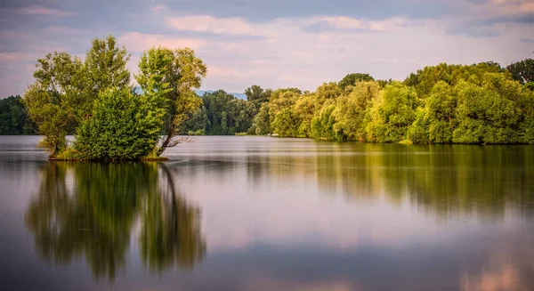 Vijver in het voorjaar van — Stockfoto