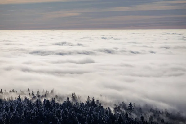 Krajobraz zimowy z mgłą w dolinie — Zdjęcie stockowe
