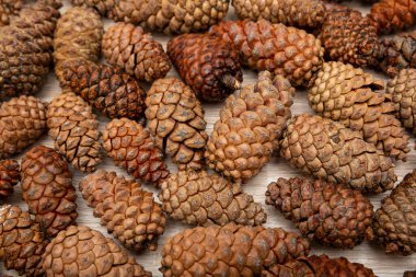 Üst görünüm çam kozalakları arka plan