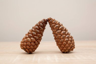 Üst görünüm çam kozalakları arka plan