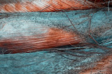 Ağaç kabuğunun dokusu