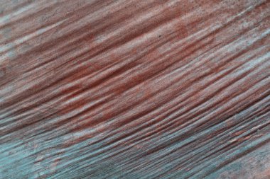 Ağaç kabuğunun dokusu