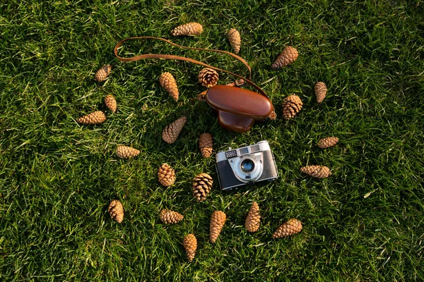 Vintage Camera Pine Cones Background — Stock Photo, Image