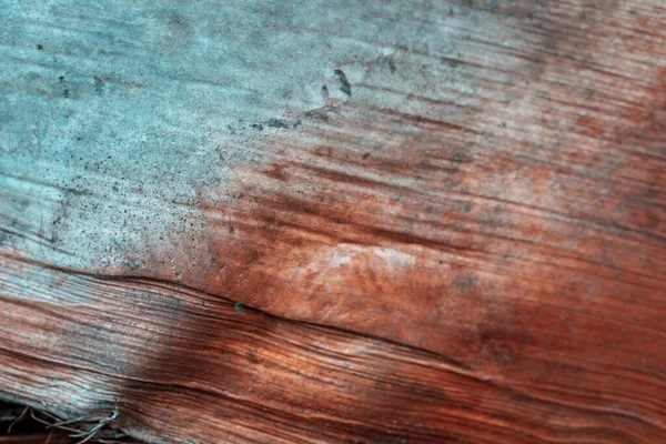 Текстура Коры Дерева — стоковое фото