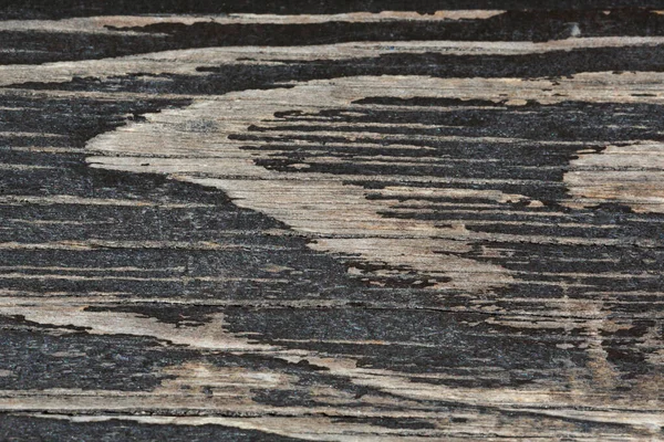 Grunge Wood Pattern Texture — Stock Photo, Image