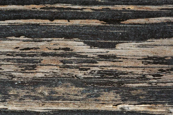 Grunge Texture Modello Legno — Foto Stock