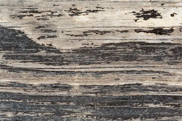 Grunge Texture Modello Legno — Foto Stock