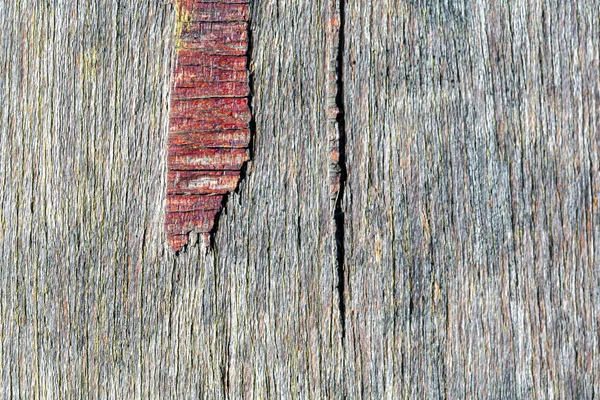 Грандж Текстури Дерева Візерунка — стокове фото