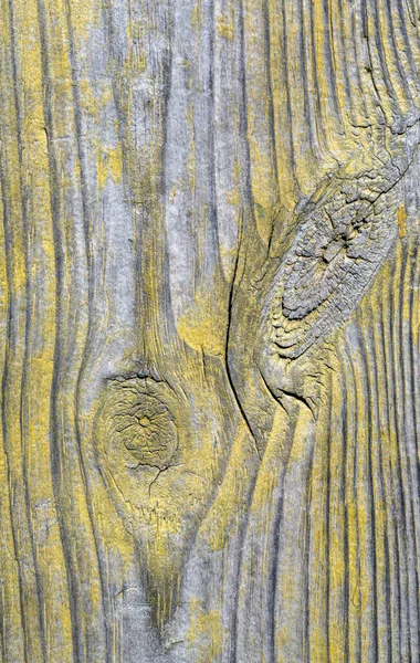 Грандж Текстури Дерева Візерунка — стокове фото