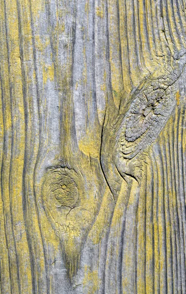 Grunge Texture Modello Legno — Foto Stock