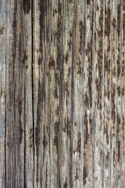 Grunge Holz Muster Textur — Stockfoto