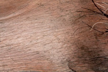 grunge ahşap desen dokusu