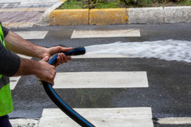 Çikolata parçacıklı kurabiyeleri kapatın.