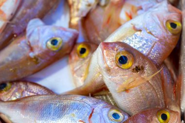 İşaretli buzda taze balık