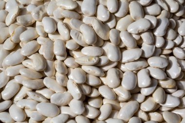 Arkaplan olarak beyaz fasulye dokusu yığını. Üst görünüm