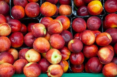 Masaya dizilmiş taze şeftaliler. Üst Manzara. meyve arka grubuName