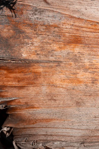 Textura Del Patrón Madera Grunge — Foto de Stock