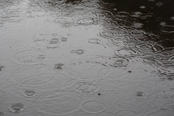 Regendruppels Het Water — Stockfoto