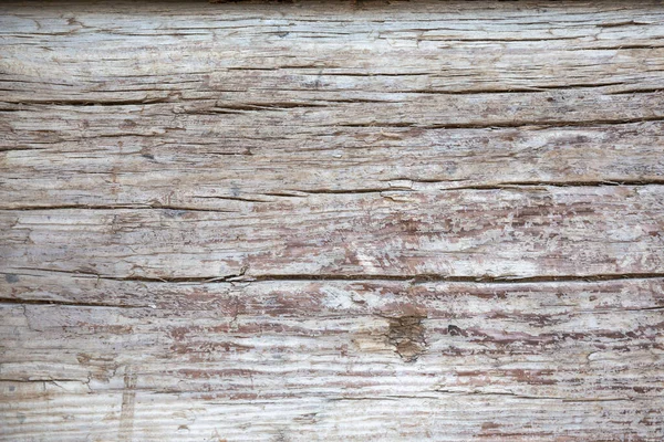 Wzór Drewna Tekstury Tła — Zdjęcie stockowe