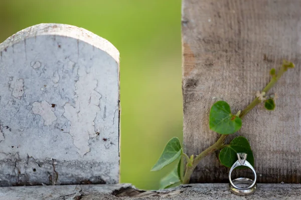 Evlilik Yüzüğü Ağaçlık Masada — Stok fotoğraf
