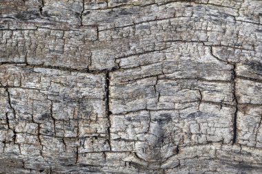 grunge ahşap desen arkaplanı